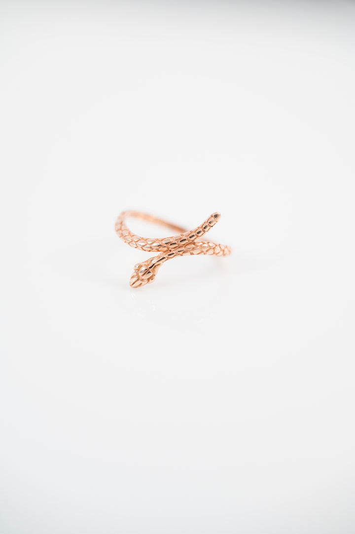 Golden Embrace Ring