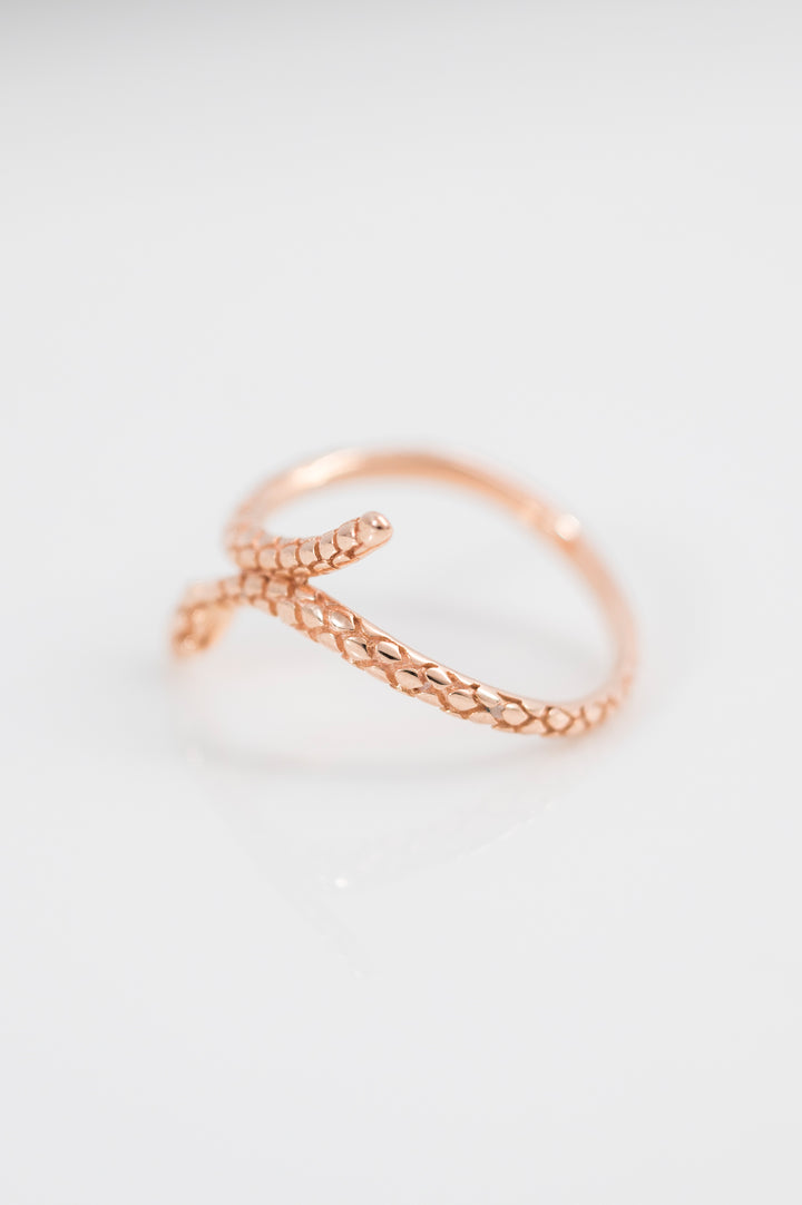 Golden Embrace Ring